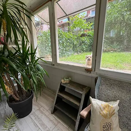 Апартаменты Milanovic Ягодина