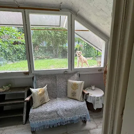 Milanovic * Ягодина