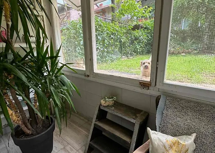 Apartamento Milanovic Jagodina